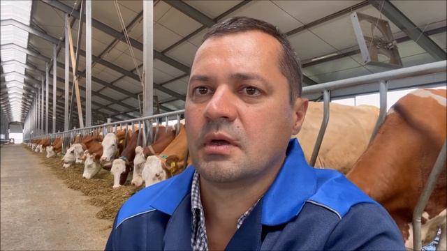 О молочной ферме КТ Мамбетов и К смотреть онлайн