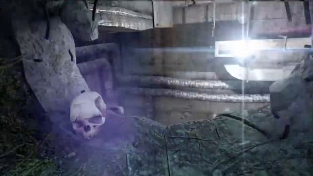Метро 2033 ➤ Прохождение ➤ Стрим на PS4 Часть: 2 ➤ #metro2033 #метро2033 #дмитрийглуховский #Ps4 смотреть онлайн
