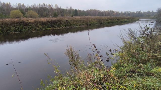 Река Уводь. ч.3. Октябрь 2024 смотреть онлайн