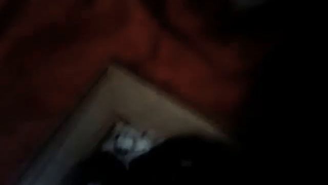 Zoey ass смотреть онлайн