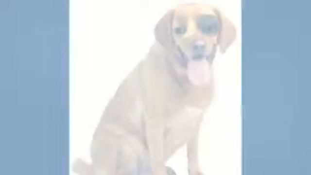 мой год с друзьями)))!!! (Created with @Magisto) смотреть онлайн
