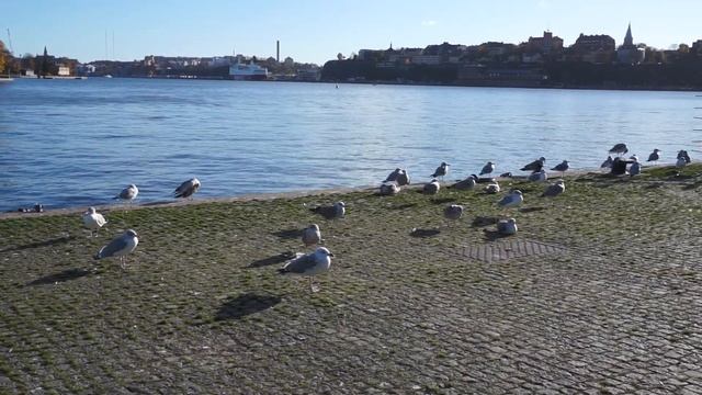 Sthlm last days of October 57 смотреть онлайн