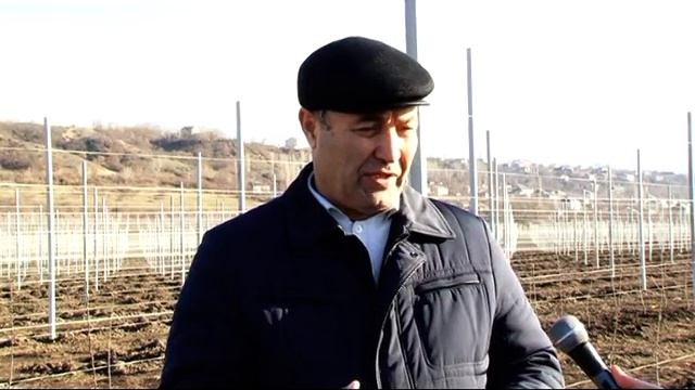 Закладка интенсивного сада. смотреть онлайн