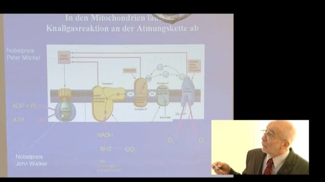 1/3:Prof.Gellerich:Gestörte Mitochondrienfunktion bei...Parkinson,Huntington,Sepsis,Ischämie,CPEO смотреть онлайн