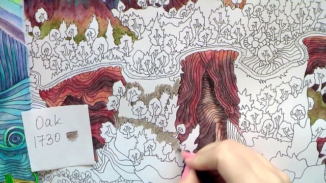 Colouring 'The Magical Journey' Yungas Road. Bolivia / Раскраска-антистресс