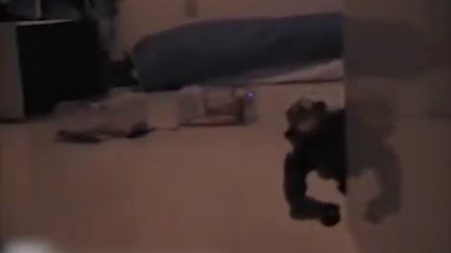 Arby 'n' the Chief | S2E03 | "Newcomers" смотреть онлайн