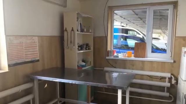 Ветеринарный кабинет. Королева 2а. Белгород смотреть онлайн