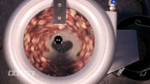 Чистка ЧЕСНОКА на Flott ZS10