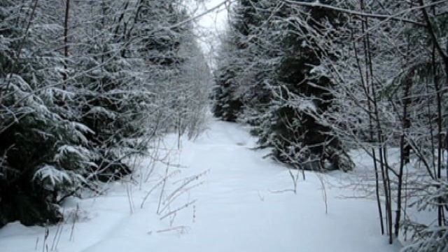 Зарисовка о походе 2.12.2012 г. смотреть онлайн