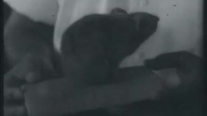 ШИНШИЛЛА ПОКИДАЕТ КЛЕТКУ  Док. Фильм 1971 СССР