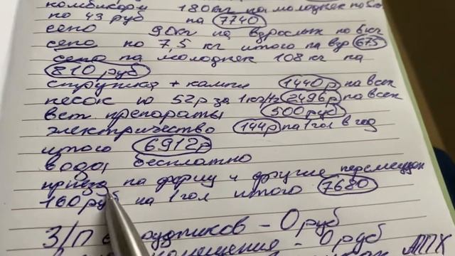 МОЙ ЗАРАБОТОК НА ШИНШИЛЛАХ || Шиншилловая ферма || Бизнес на шиншиллах смотреть онлайн