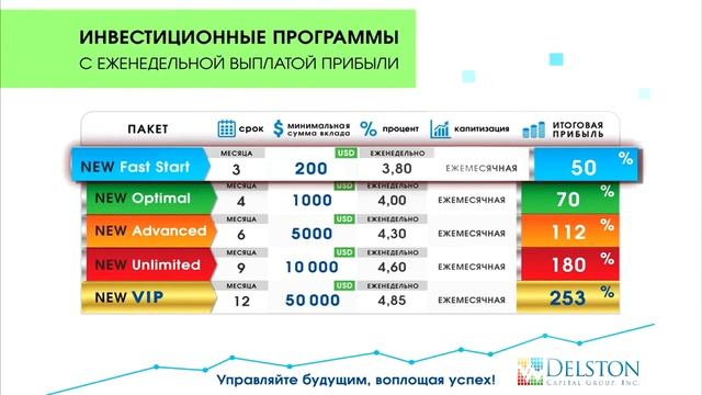 Инвестиционная программа 'DELSTON CAPITAL GROUP' смотреть онлайн
