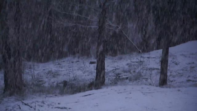 snow Koriandergrand Tyreso смотреть онлайн