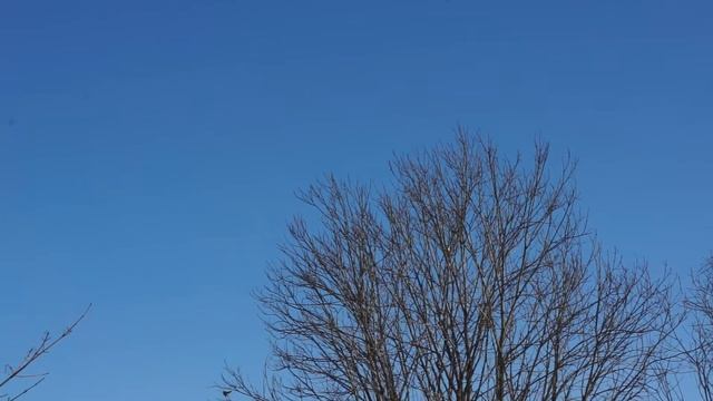real spring) tits смотреть онлайн
