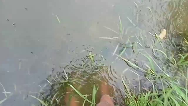 in one night pond is full very hard 🌧️ rain. 👍🏻❤️ смотреть онлайн