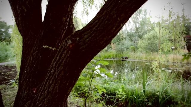 Бирск - стретегия развития смотреть онлайн