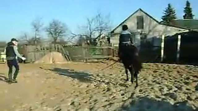 с камеры 997