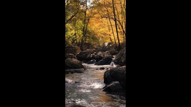 Успокаивающая музыка 3ч смотреть онлайн