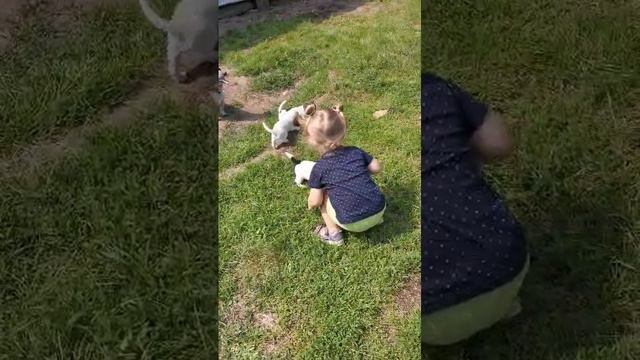 Я в маленьком виде смотреть онлайн