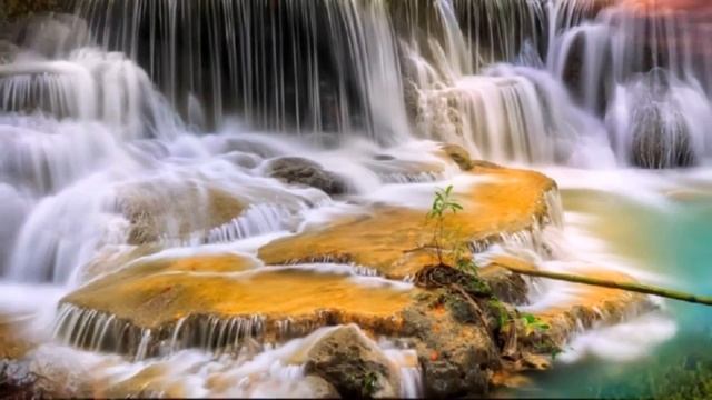 АГНИ - ЙОГА  О  МЯСОЕДЕНИИ.   /// Nelli Linde ///