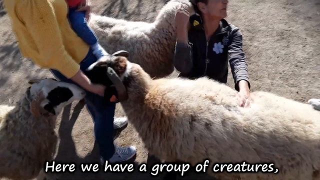 About The Friends. / За Приятелите. смотреть онлайн