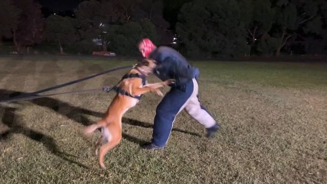 Kaizen K9 смотреть онлайн