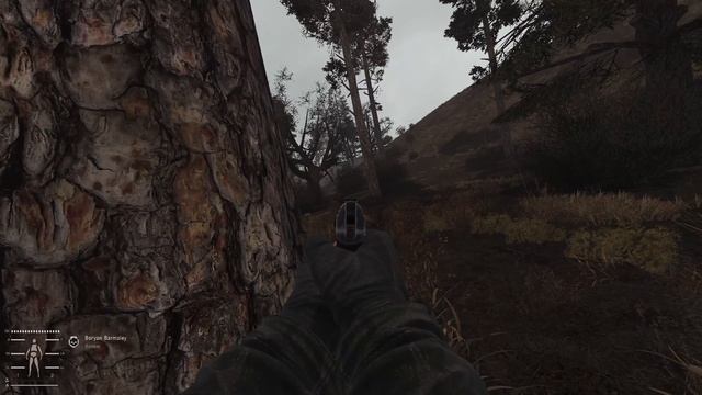 The Journey Begins - S.T.A.L.K.E.R. GAMMA - Episode 1 смотреть онлайн