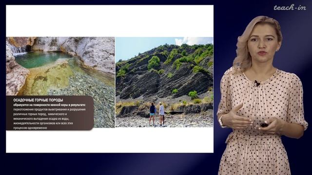 Шанина В.В. - Цикл 