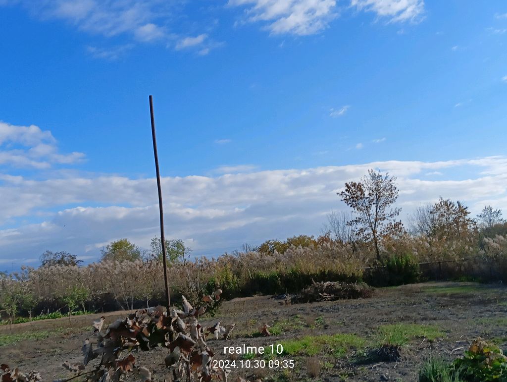 сижу дома, 😁общаемся в чатике🙃