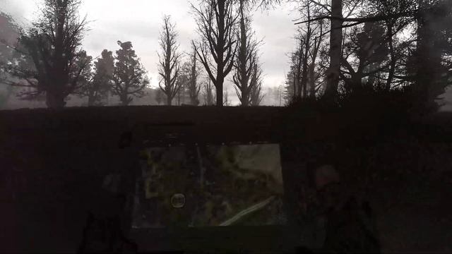 Trip Down Cordon Lane - STALKER GAMMA - PART 23 смотреть онлайн