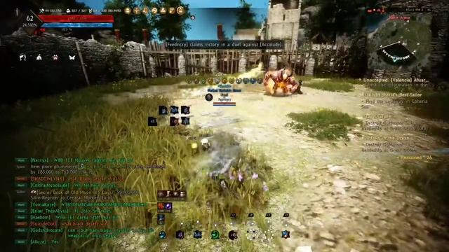 Black Desert Online New King Of The Hill Arena #1 смотреть онлайн
