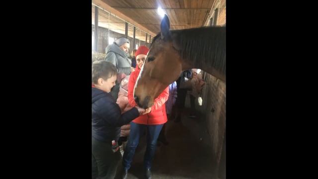 Послание профессиональному сообществу ПДО Бакакина Л М