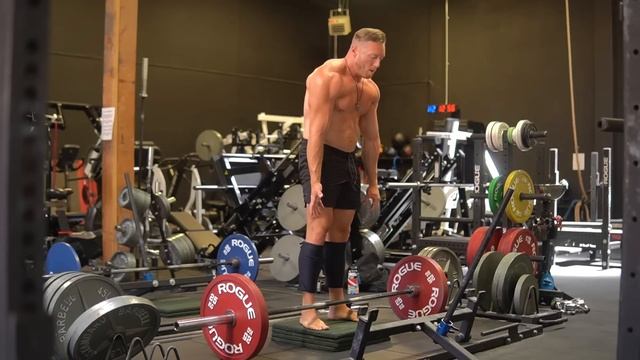 3 Days Of Training Vlogs & Meet My New Dog