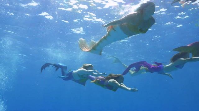 Mermaid Emma's Highlights during the MerFolk Retreat Egypt 2023