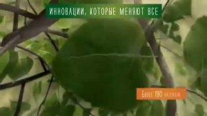 История Нутрилайт