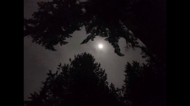 Epic of Gilgamesh Reading and Analysis: Supercut смотреть онлайн