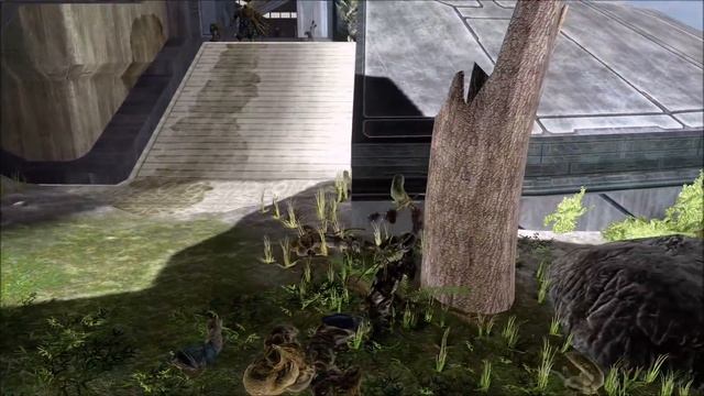 Halo 3 - Can Pilots Get Infected By The Flood?
