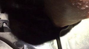 Лада Веста причина высокочастотного звука из под капота Lada Vesta