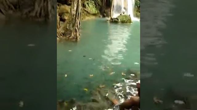 Thailand , Erawan Waterfalls, fish eat skin смотреть онлайн