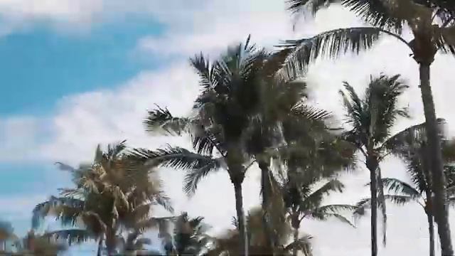 THIS IS LABELLAMAFIA MÉXICO смотреть онлайн