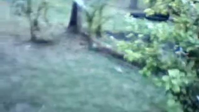 Короли и капуста - квашеная сыроедческая :) смотреть онлайн