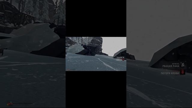 Волков много не бывает #The Long Dark #прохождение #игры_на_пк #выживалка #выживание #Одна_жизнь смотреть онлайн