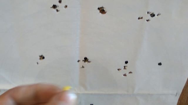 PCP крюгерка отстрел на 50м ,пули жсб1.175г. смотреть онлайн