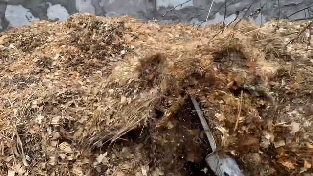 ПЕРЕРАБОТКА ОТХОДОВ ОТ ШИНШИЛЛОВОЙ ФЕРМЫ | НАВОЗНЫЙ ЧЕРВЬ ПРЕВРАТИТ ВОТ ВО ЧТО... смотреть онлайн