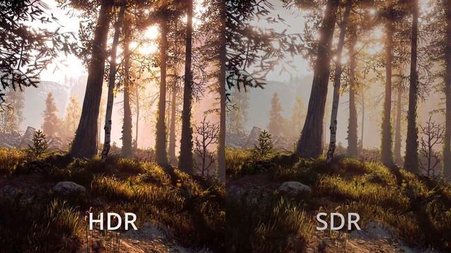Horizon Zero Dawn HDR vs SDR Comparison PC смотреть онлайн