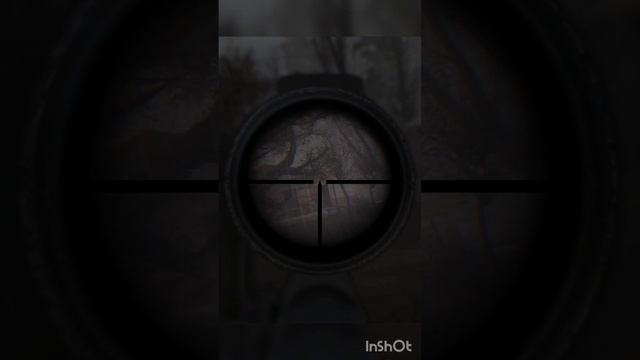 using an SKS on the military in Stalker Gamma смотреть онлайн