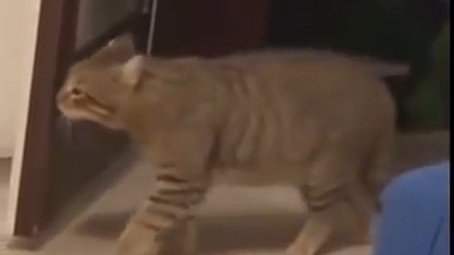 i hear a hunter смотреть онлайн