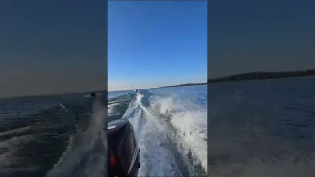 Песня о таймыре смотреть онлайн