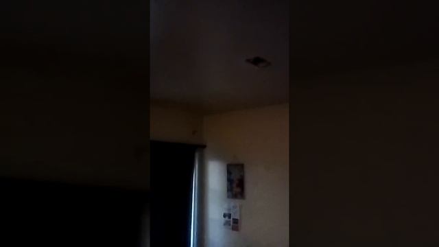 3yr Old Terrorized By Oakland California Gang Stalkers 7/18 7:20am Trying To Watch Cartoons смотреть онлайн