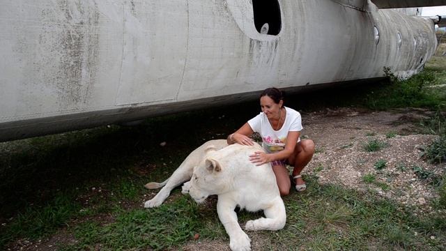 ГЕРДА - ЛЬВИЦА АНТИСТРЕСС !!! смотреть онлайн